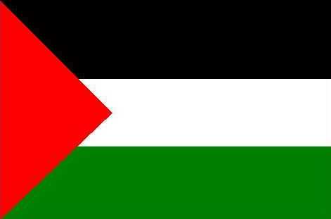 bandiera palestinese